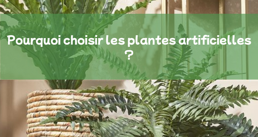 Pourquoi opter pour des plantes artificielles ?
