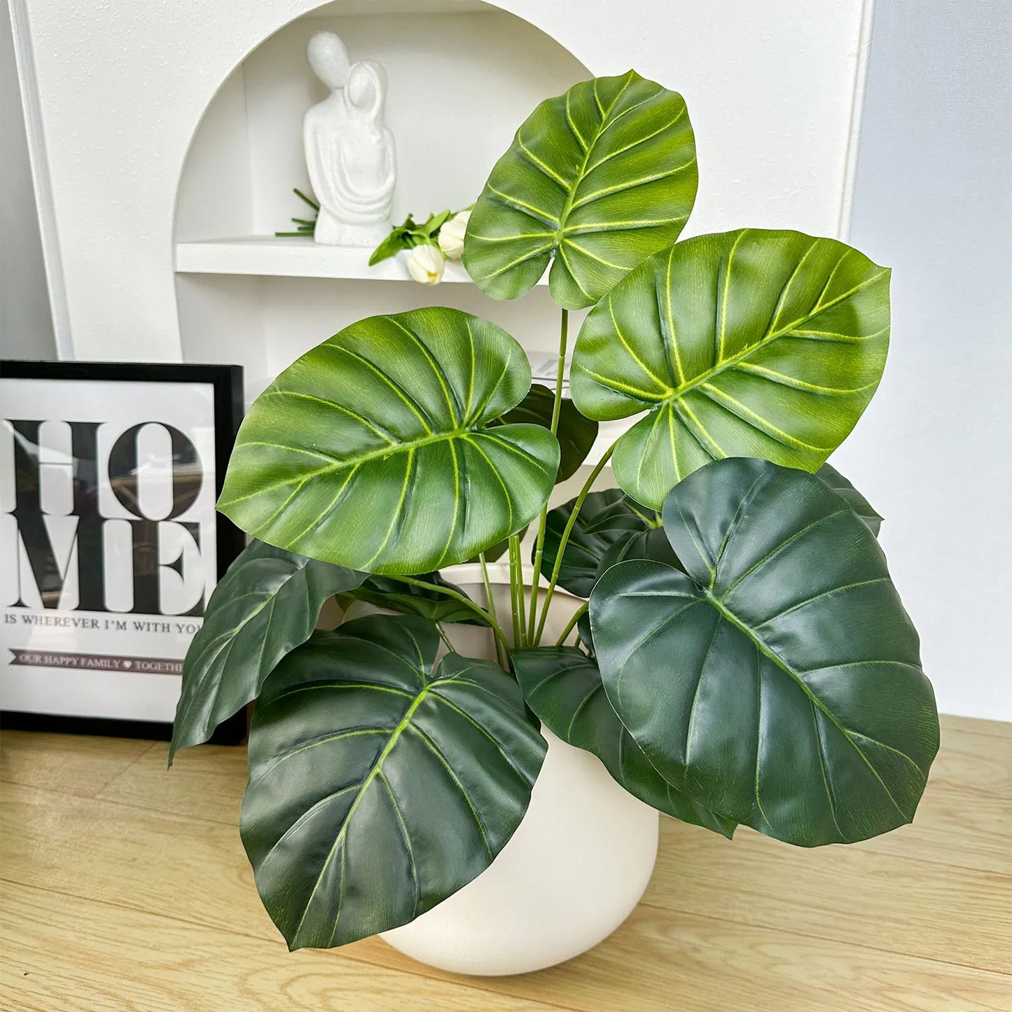 Plante verte monstera