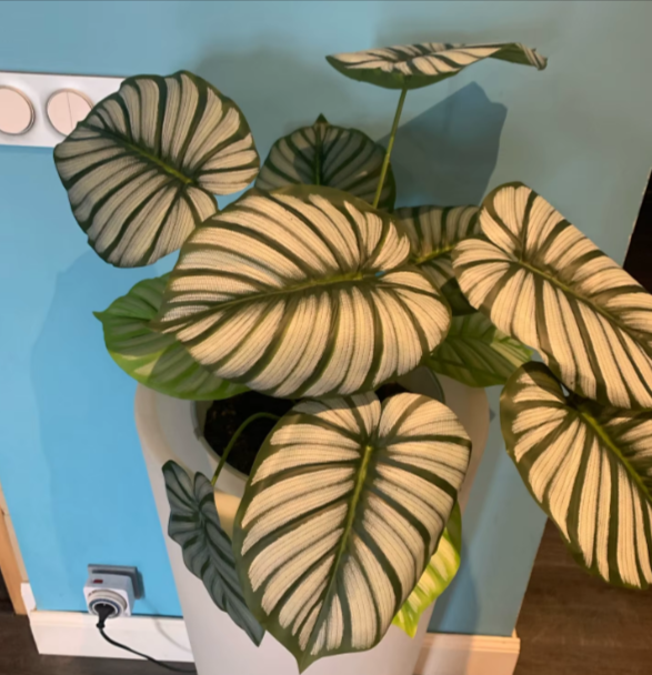 Plante artificielle Monstera