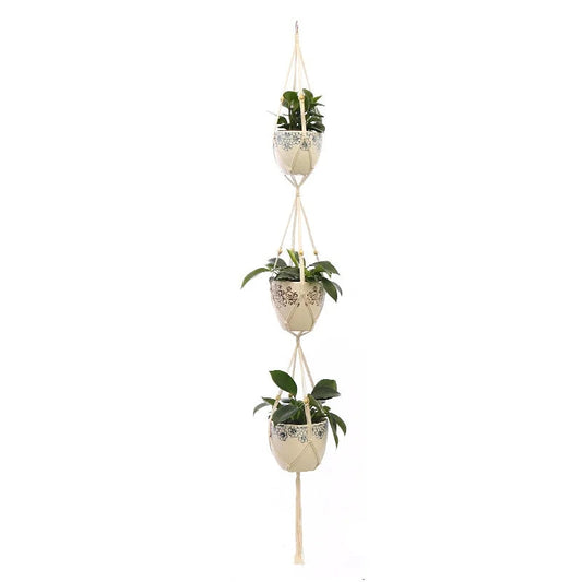 Cintres pour plantes et fleurs suspendus