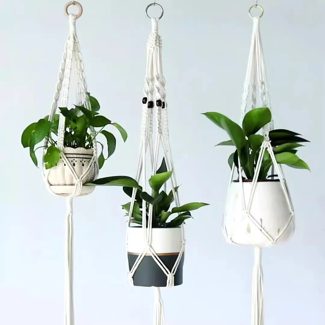 Cintres pour plantes blancs
