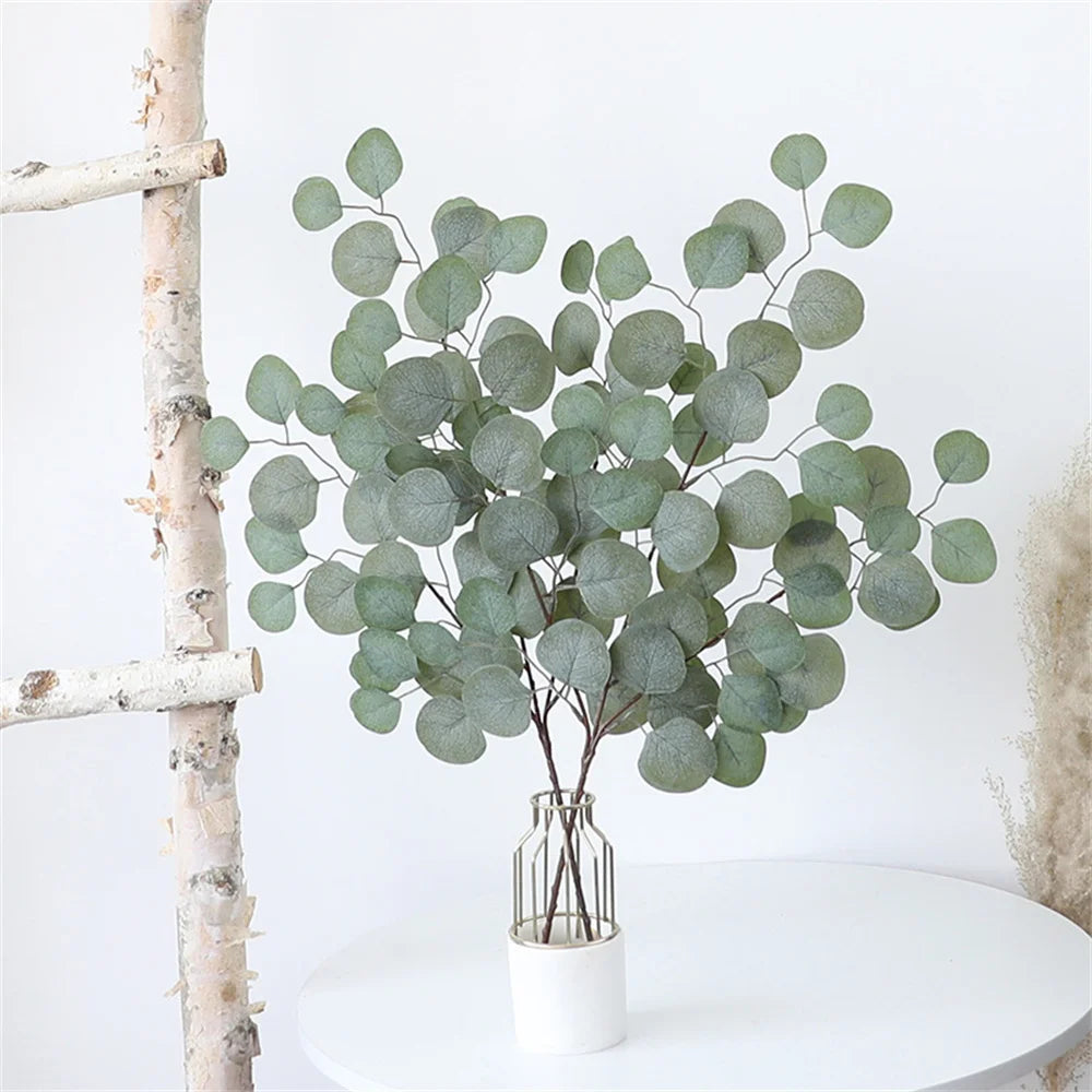 Eucalyptus en pot 