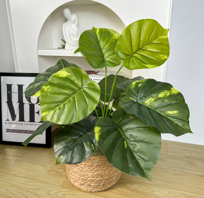 Monstera en plastique