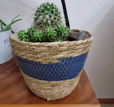 Pot pour plantes bleu en paille tressée