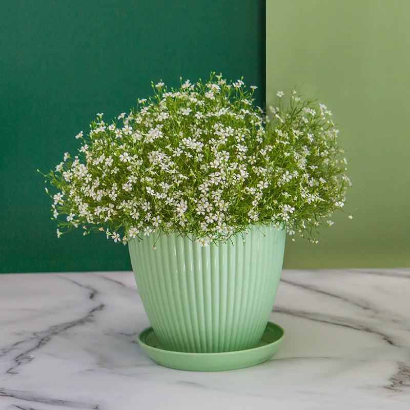 Bouquet de fleurs en pot vert