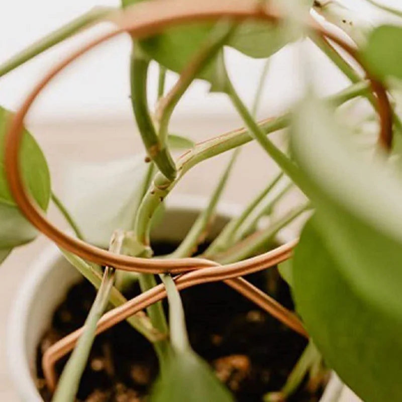Support pour plantes en pot