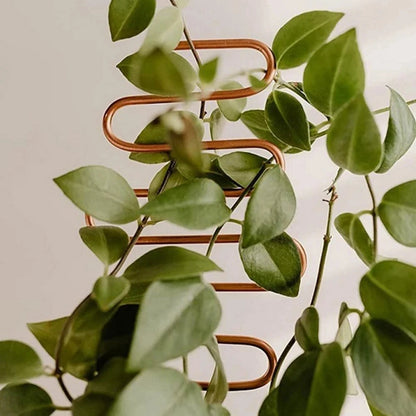 Treillis pour plantes murales synthétiques